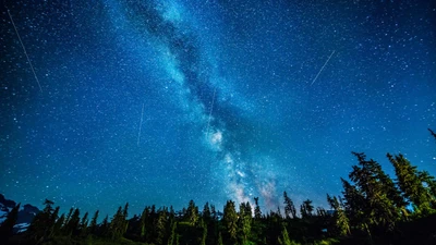 Voie lactée majestueuse illuminant un ciel nocturne serein au-dessus de la silhouette des arbres à feuilles persistantes