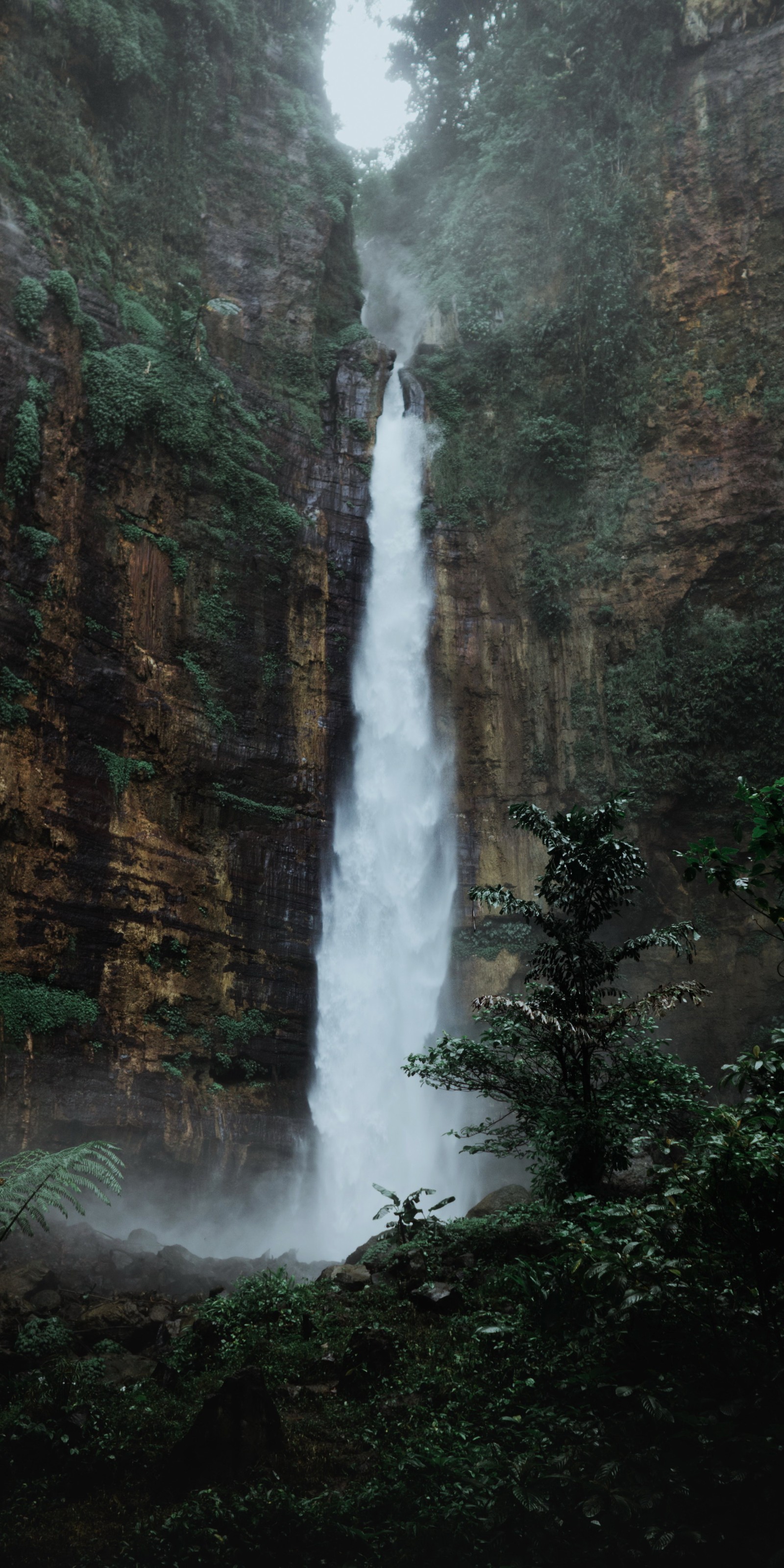 Ein wasserfall, der einen berghang hinunterfließt (wasserfall, wasser, pflanze, natürliche landschaft, flüssigkeit)