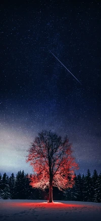 Árbol iluminado bajo un cielo estrellado