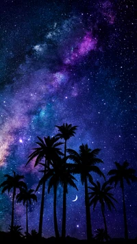 Majestic Milky Way Over Silhouetted Palm Trees