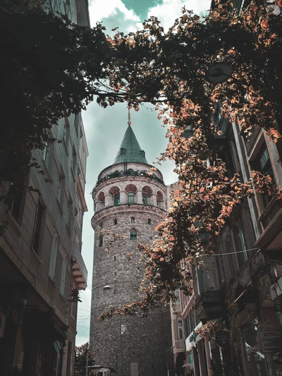 Torre de Galata emoldurada pela arquitetura urbana em Istambul