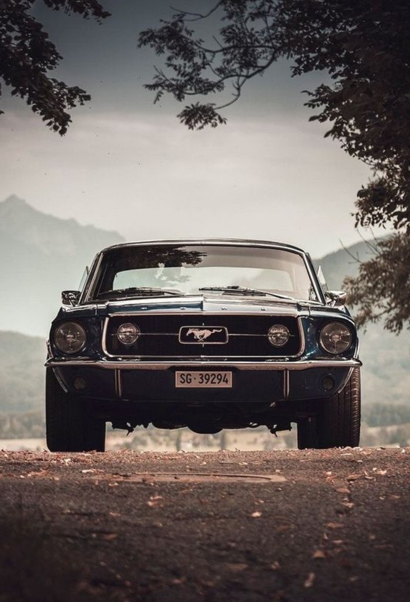 A close up of a car parked on a dirt road near a tree (beast, beastmod, fall, muscle, mustang)