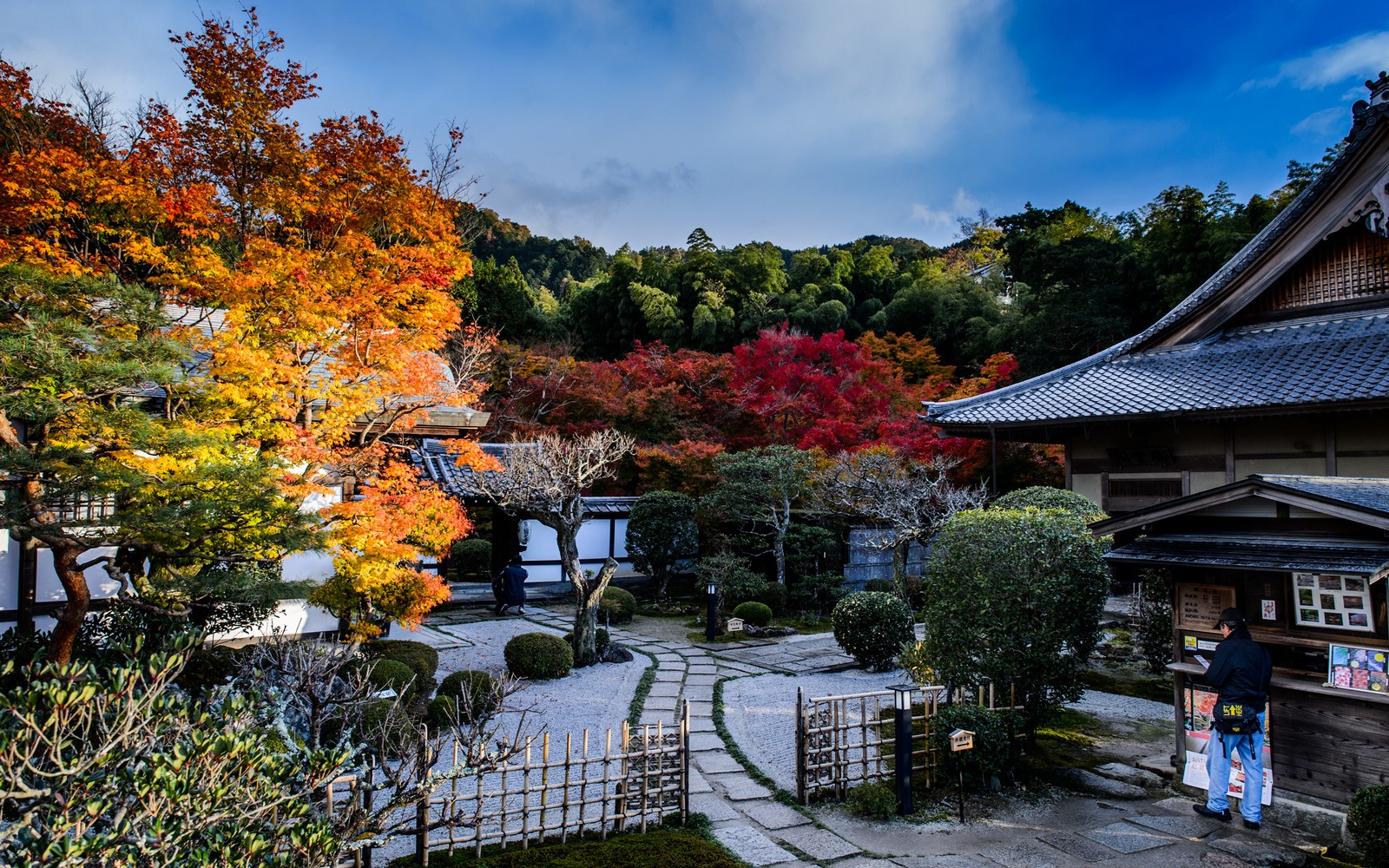 japanese garden, tree, leaf, nature, autumn wallpaper