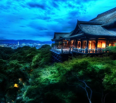 hd, japan, night, skyline, treetop