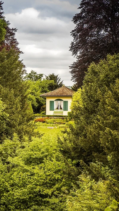 Charmant refuge vert niché dans la nature