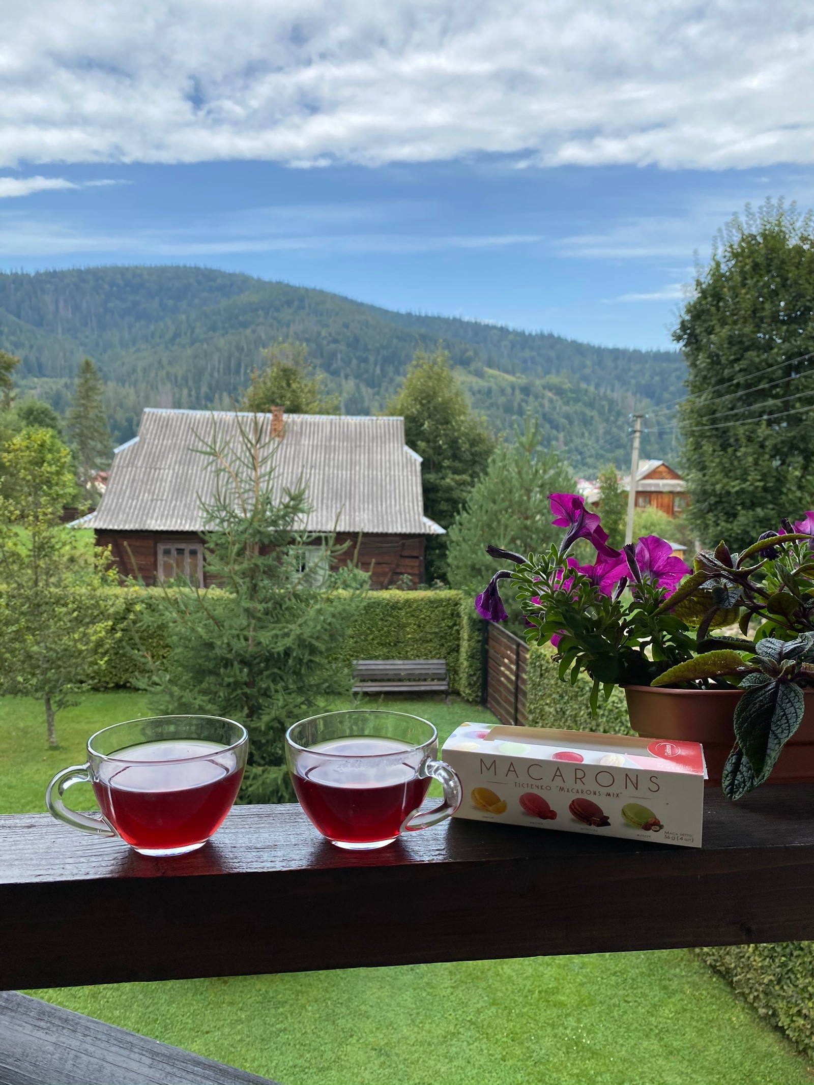 Hay dos tazas de té en una mesa afuera. (casa, bienes raíces, maceta, árbol, bebida)