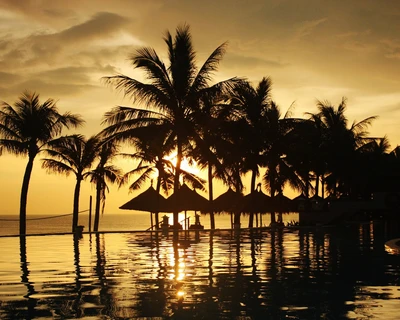 playa, lago, palmas, mar, sombra