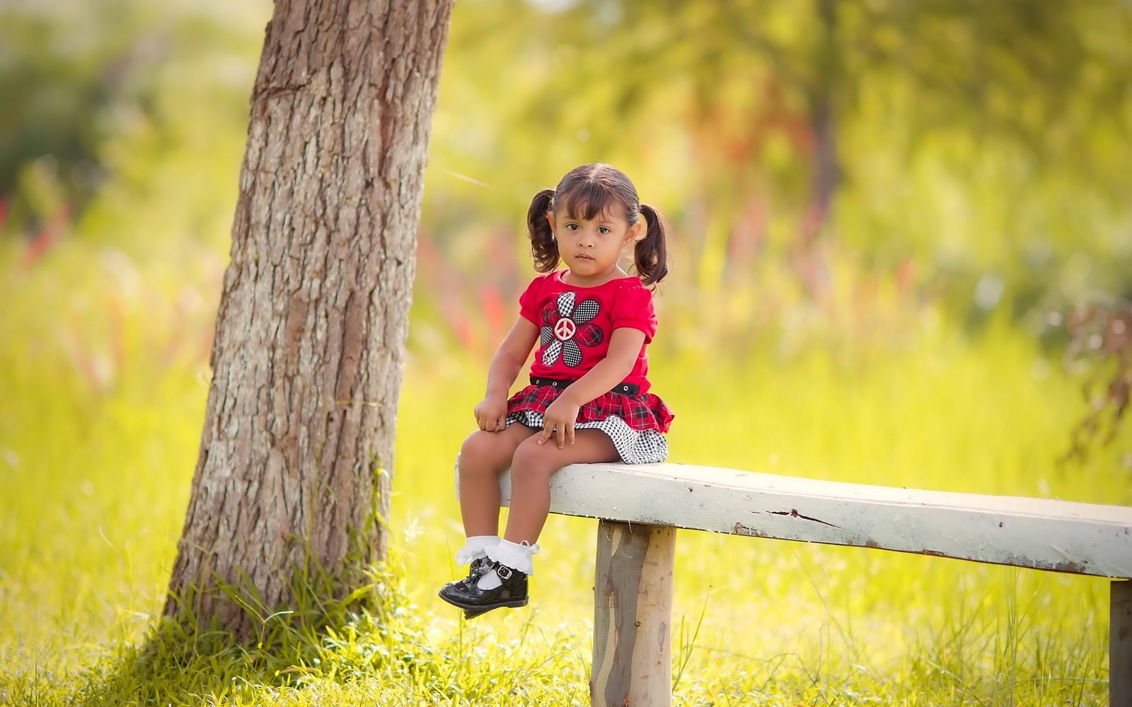 Arafed little girl sitting on a bench in a field (red, yellow, child, tree, woody plant)