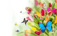 fleur, insecte, papillon, plante, printemps