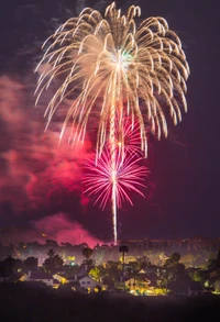 Des feux d'artifice vibrants illuminant un ciel nocturne festif