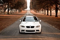 Elegant BMW M3 on a tree-lined road, showcasing luxury and performance.