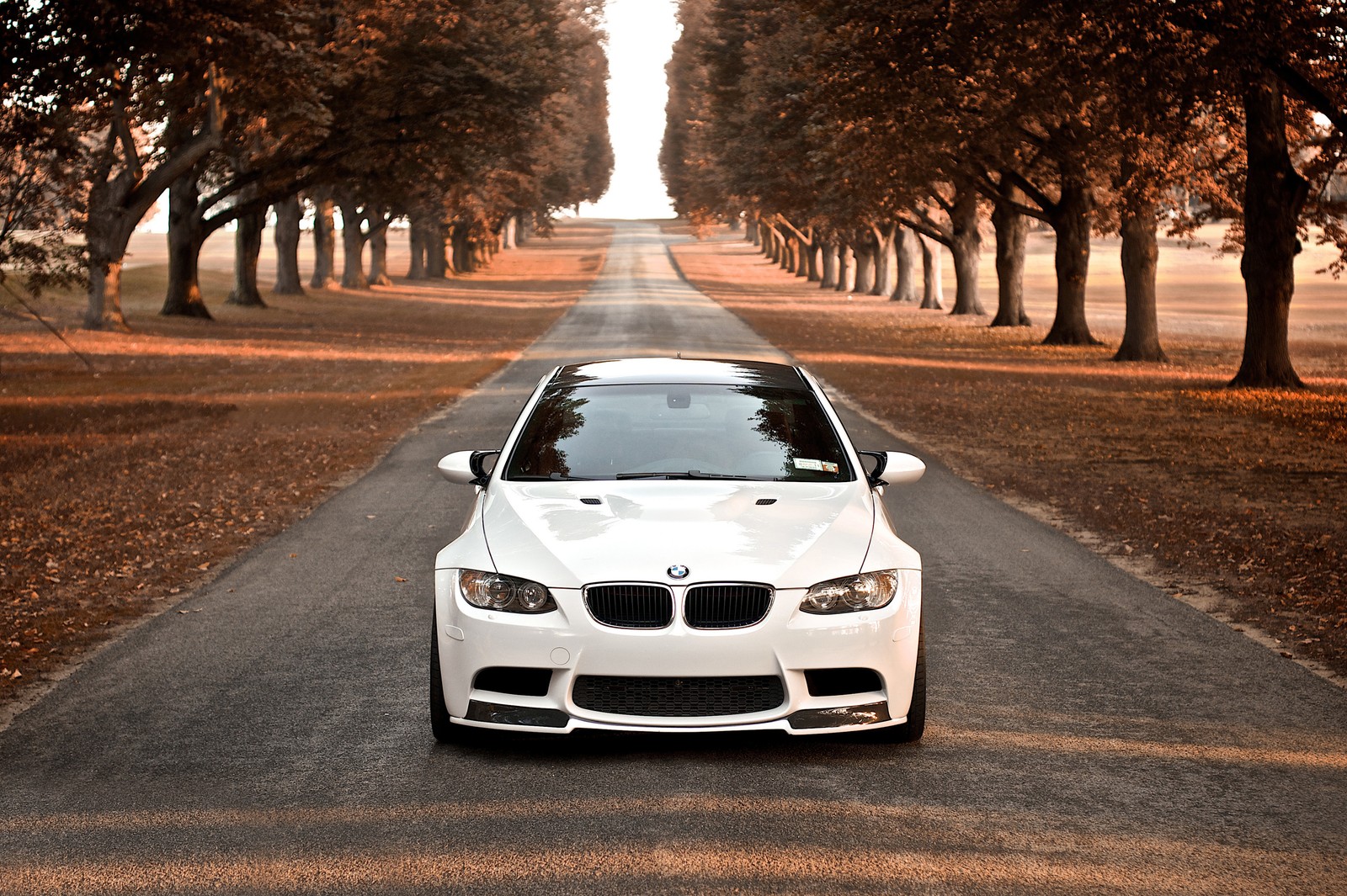 Um carro bmw branco estacionado em uma estrada entre árvores (carro, bmw, aro, carro de luxo, bmw m3)