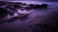 sea, water, purple, dawn, calm wallpaper