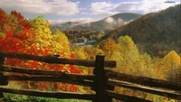 Vibrant Autumn Wilderness Overlooking Mountain Valley