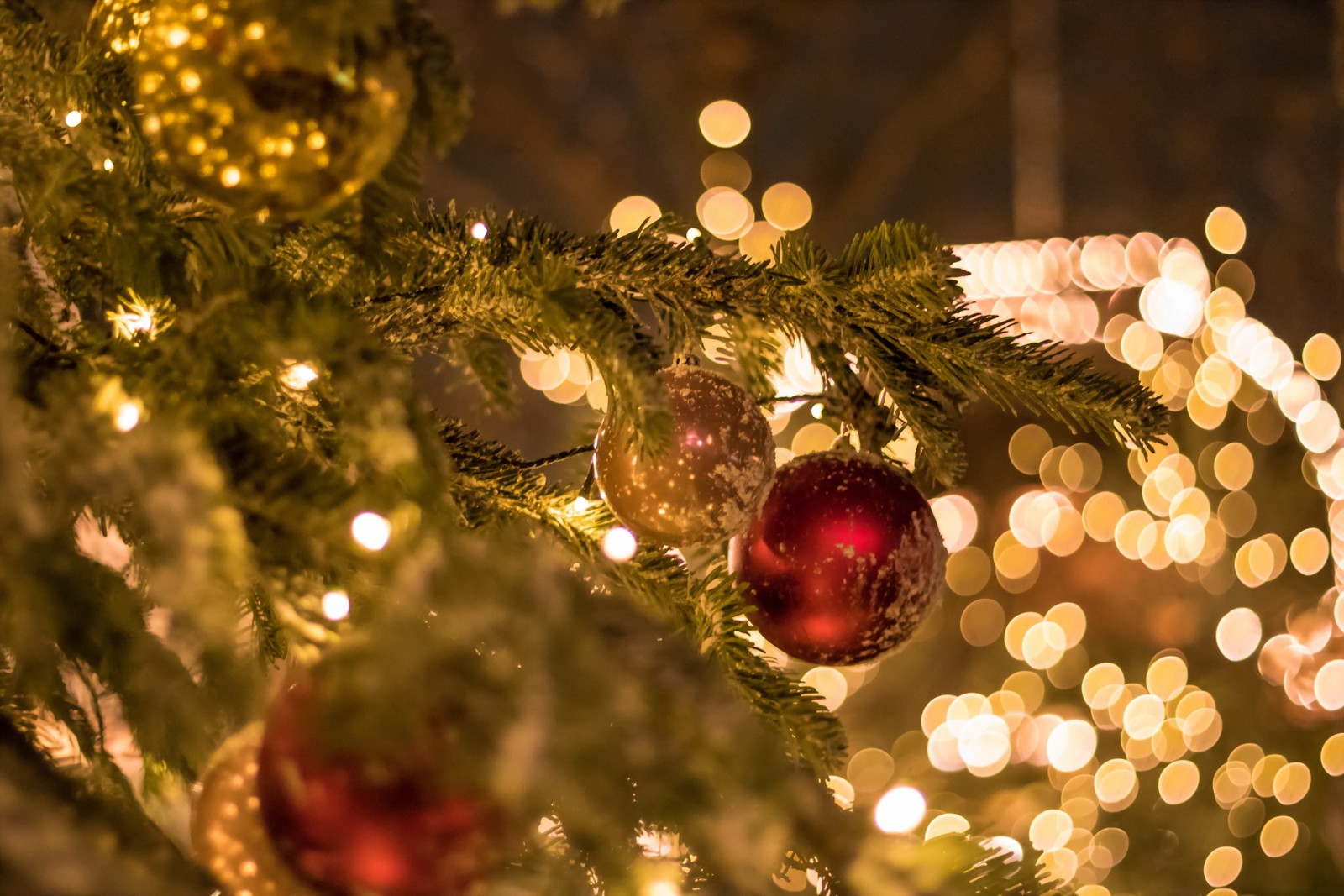 A close up of a christmas tree with lights in the background (christmas tree, christmas day, holiday, christmas lights, christmas ornament)