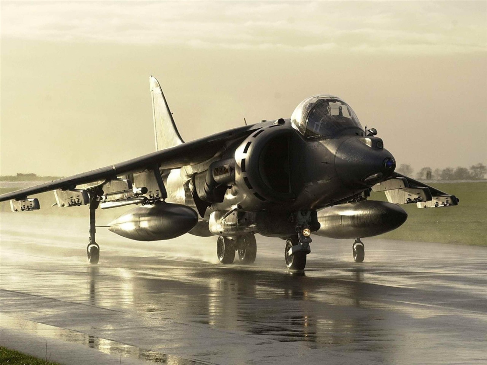 Ein jet steht bei regen auf der landebahn (harrier jump jet, hawker siddeley harrier, british aerospace sea harrier, mcdonnell douglas av 8b harrier ii, flugzeug)