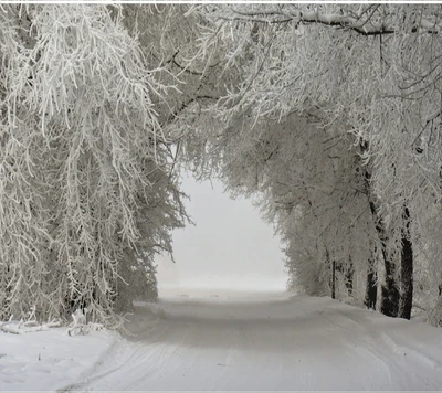 paisagem, natureza, neve, inverno