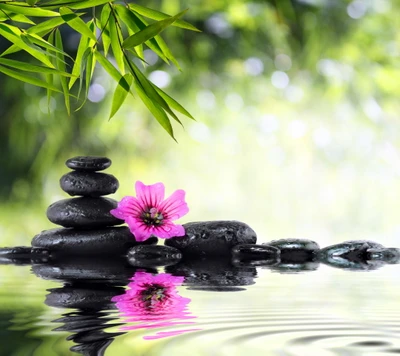 Scène de spa tranquille avec des fleurs et des pierres