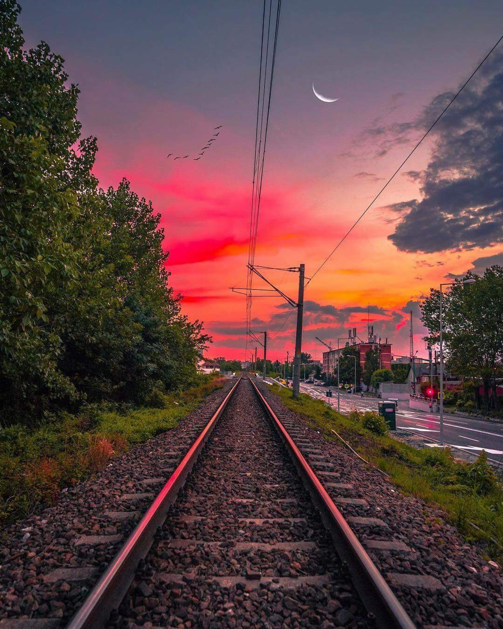 railway tracks, nature, lovely, train, travel wallpaper