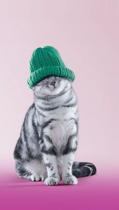 Gato adorable con un gorro de punto verde