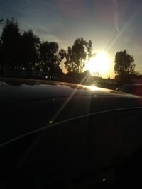 Car Reflections at Sunrise Amidst Foggy Landscape