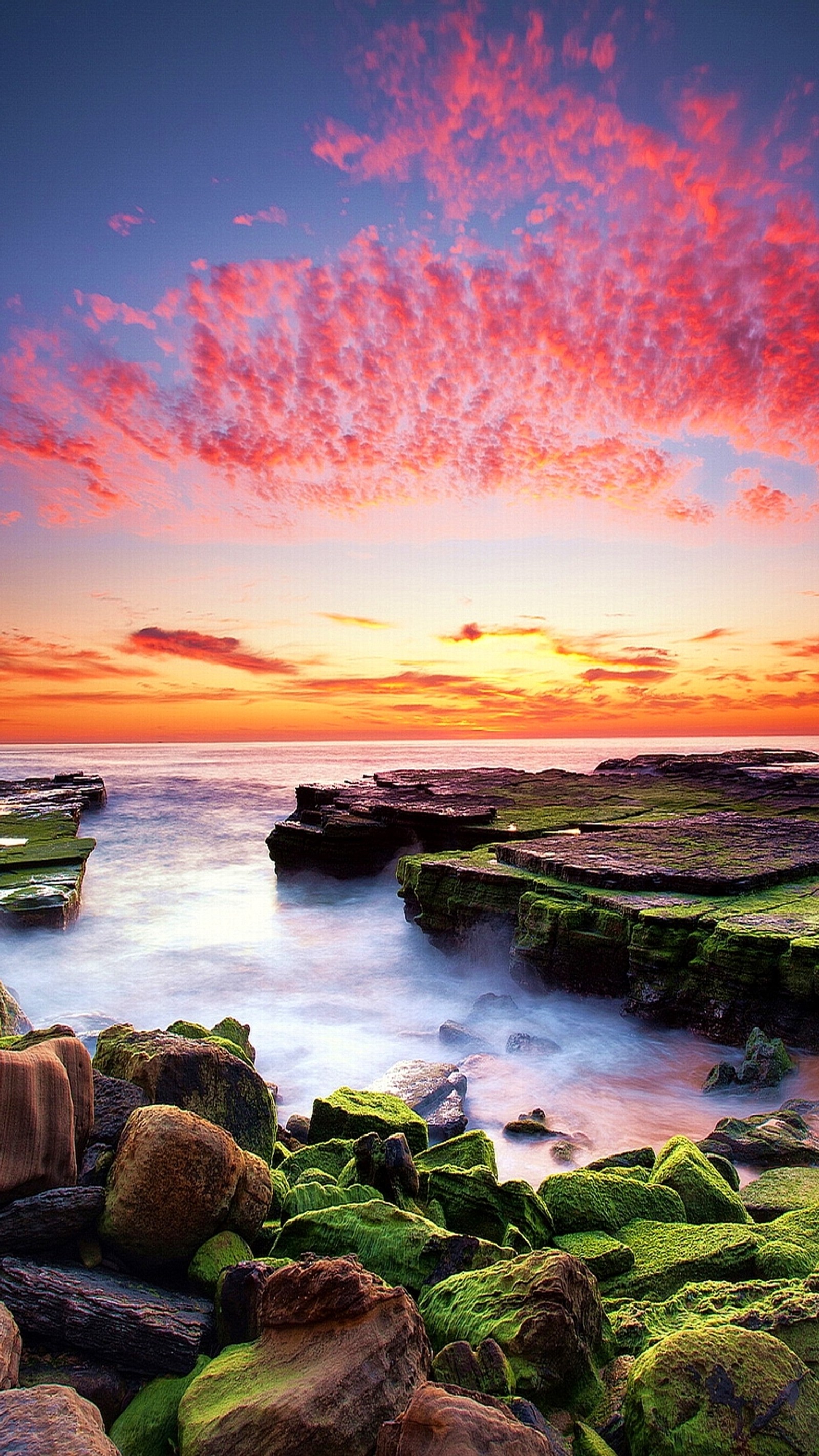 Sonnenuntergang über dem ozean mit steinen und mit grünen algen bedeckten felsen (strand, wolken, küste, landschaft, natur)