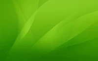 green, color, leaf, grass, line wallpaper