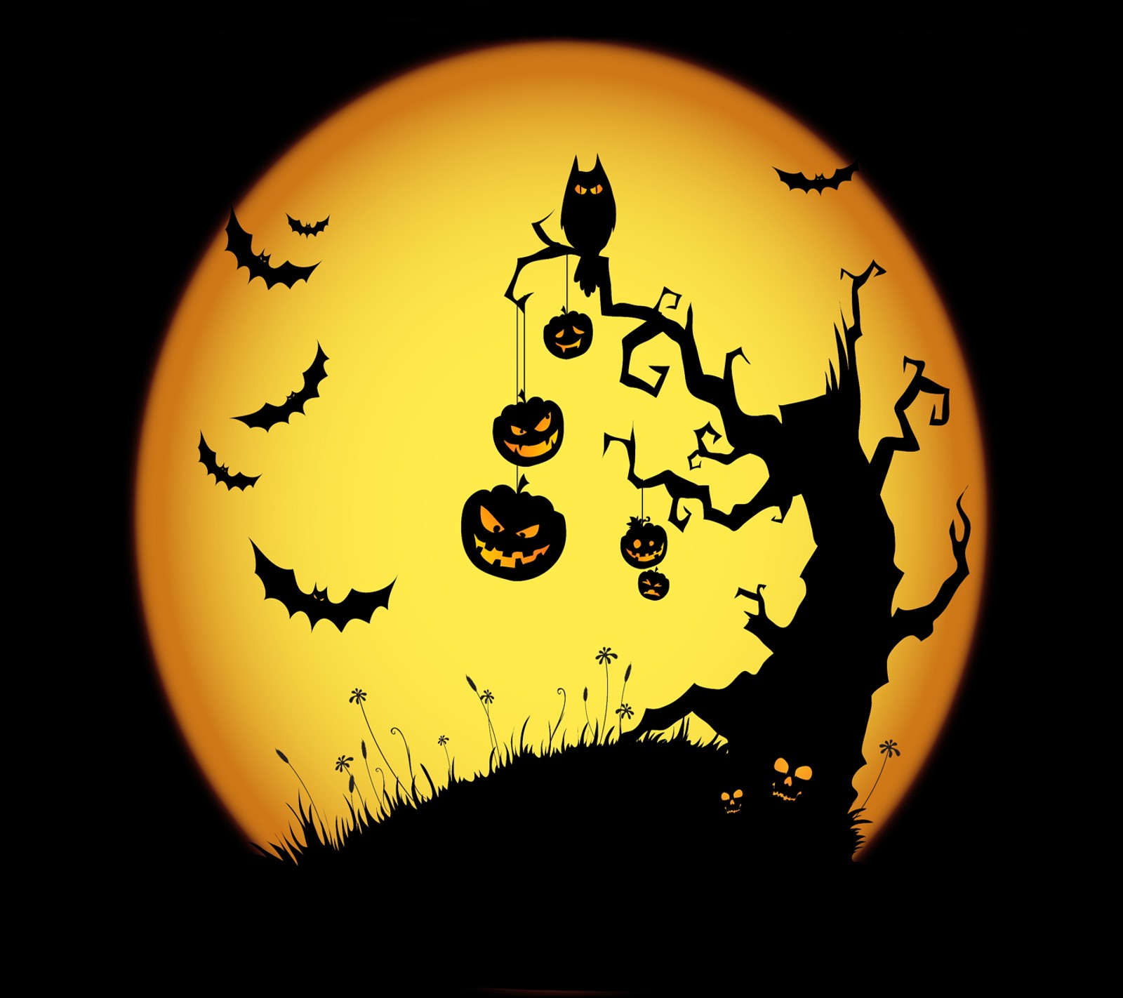 Des citrouilles d'halloween et des chauves-souris devant une pleine lune (halloween, heureux)