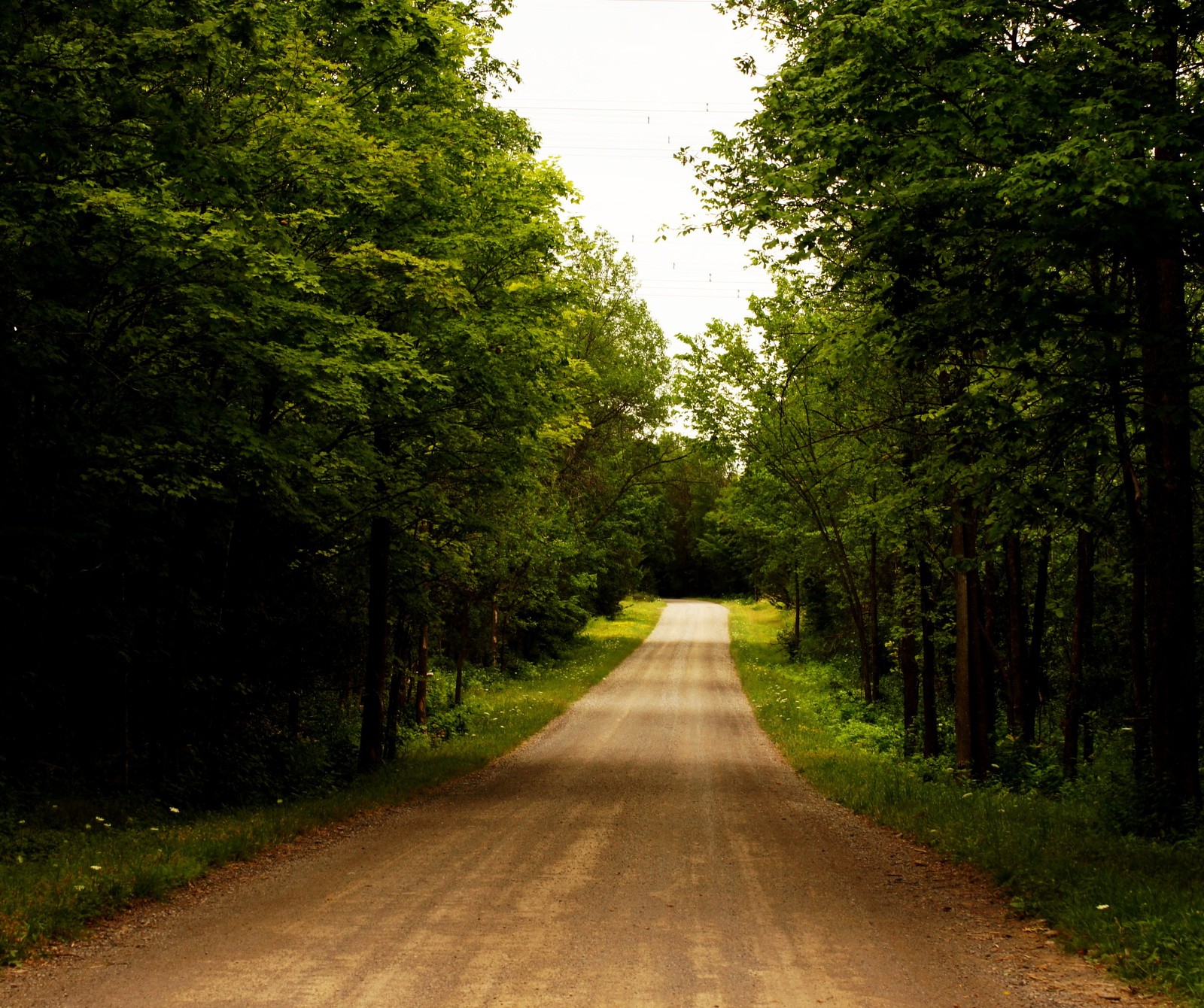 country, dirty, green, light, path wallpaper