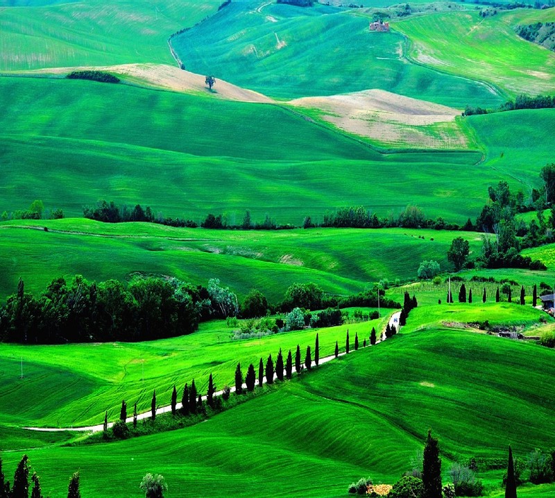 Une vue d'un champ vert avec une route au milieu (nature)