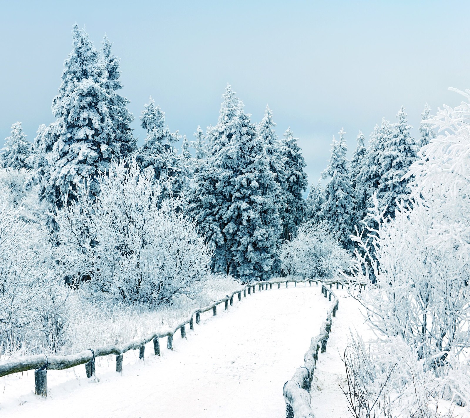 Verschneiter weg mit bäumen und einem zaun im hintergrund (schnee, winter)