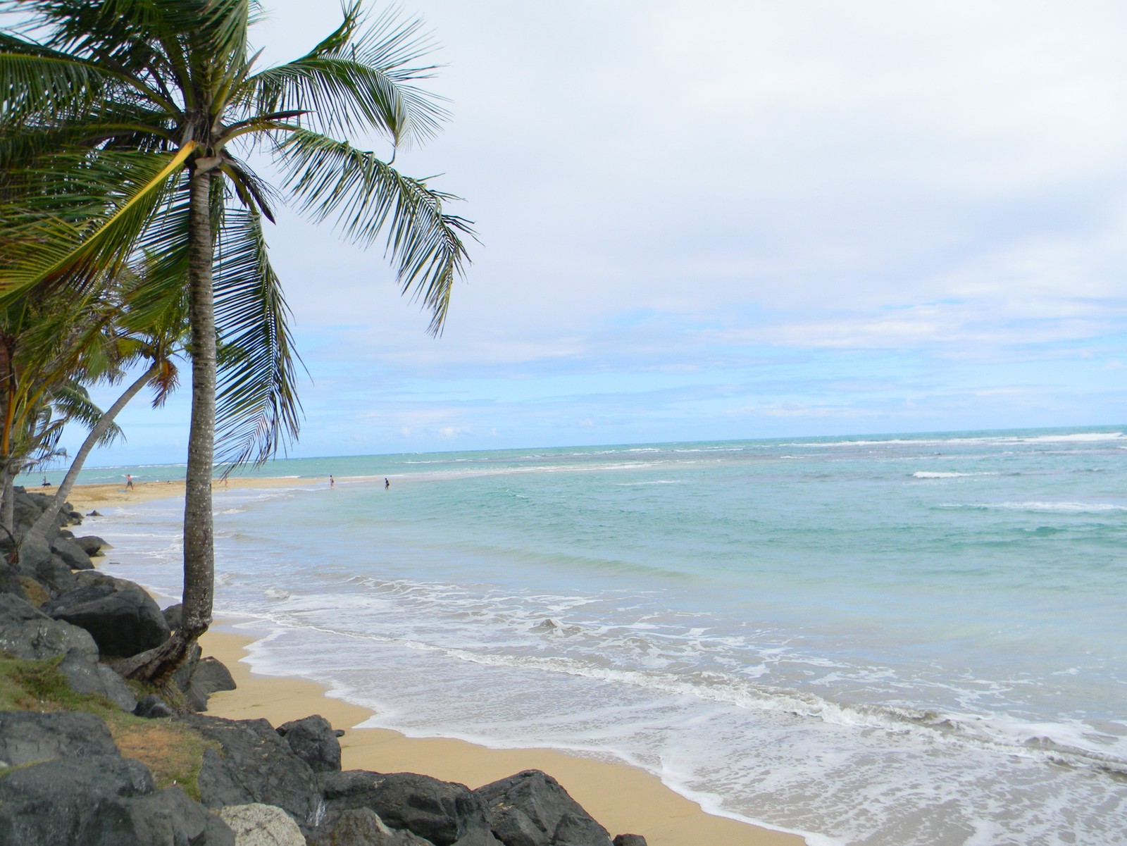 Скачать обои пляж, luquillo, пуэрто рико, puerto rico