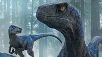 Velociraptores em uma cena de "Jurassic World: Dominion