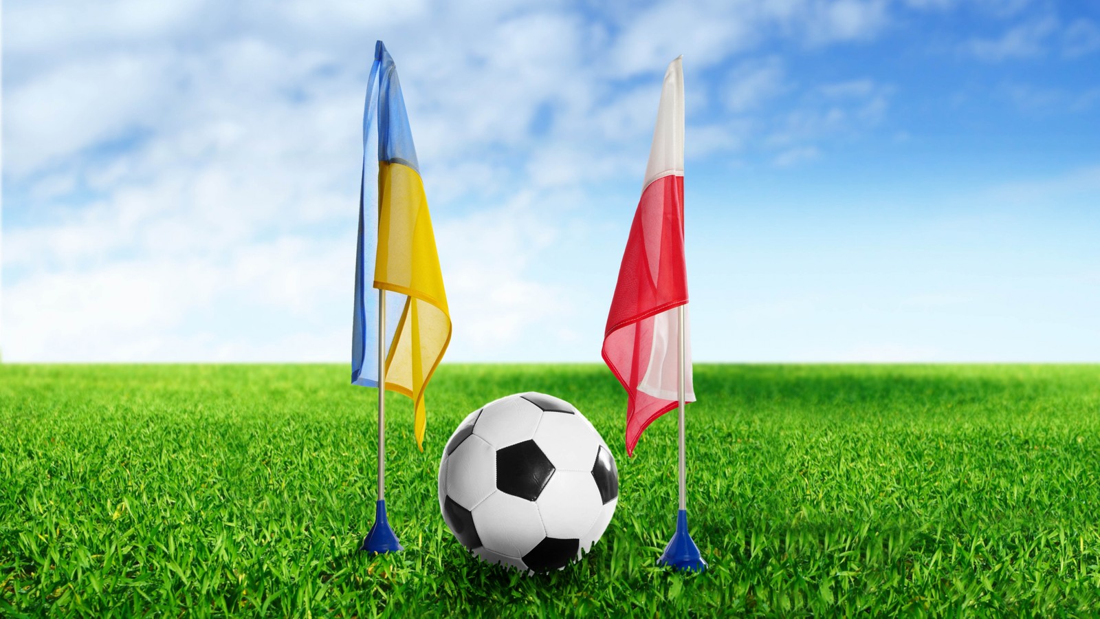 Soccer ball and flags on the grass with a blue sky in the background (ball, plant, football pitch, sky, meadow)