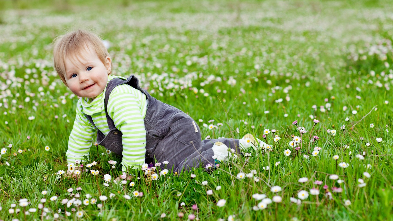 Imagem desfocada de um bebê engatinhando em um campo de flores com uma camisa listrada verde e branca (bebê, prado, criança, primavera, natureza)