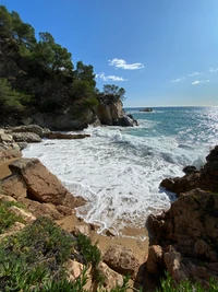 Scenic Shoreline with Waves Crashing on Rocky Promontory