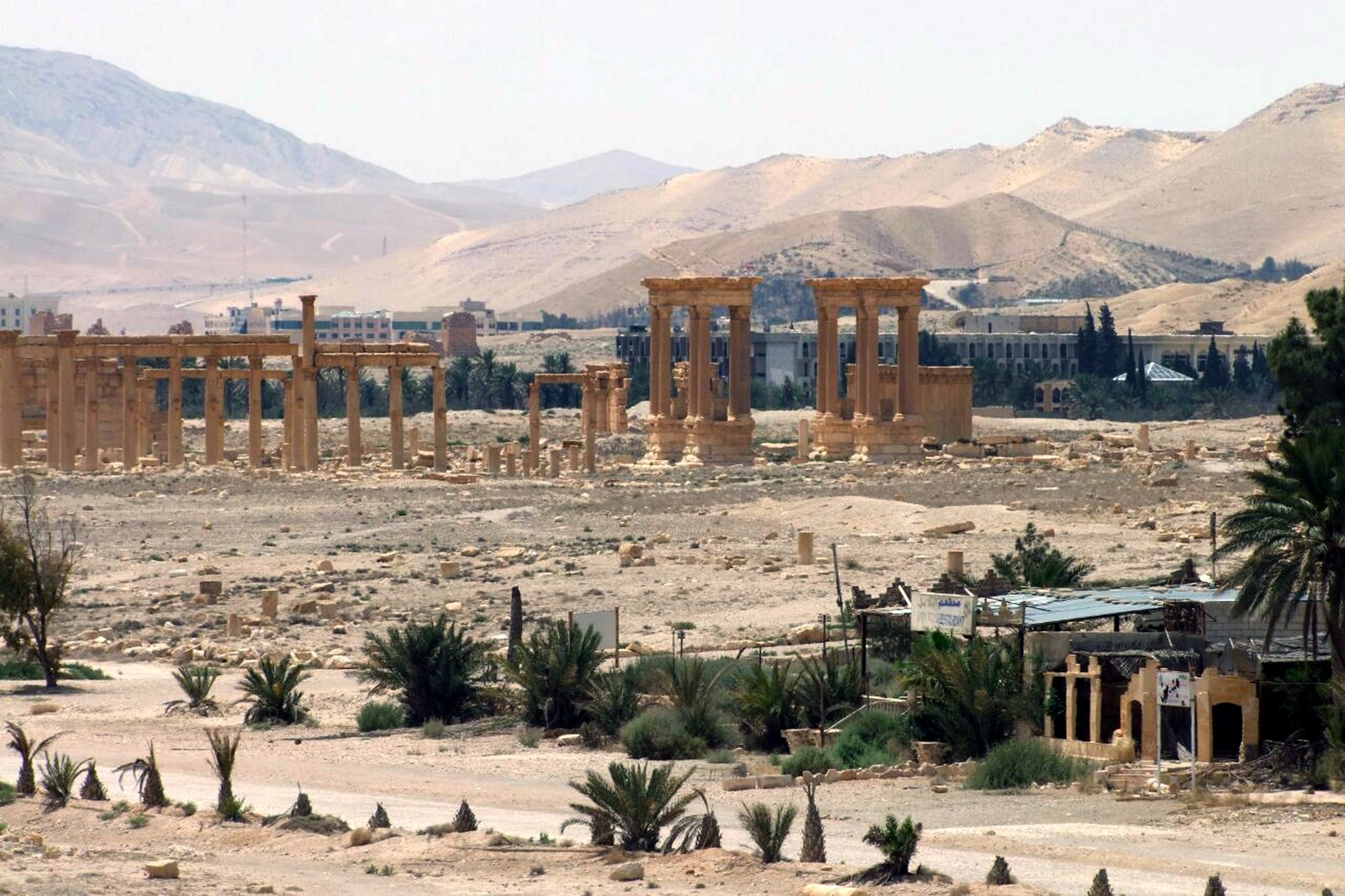 Arafed aussicht auf eine wüste mit einem gebäude und palmen (landschaft, wadi, historische stätte, dorf, sehenswürdigkeit)