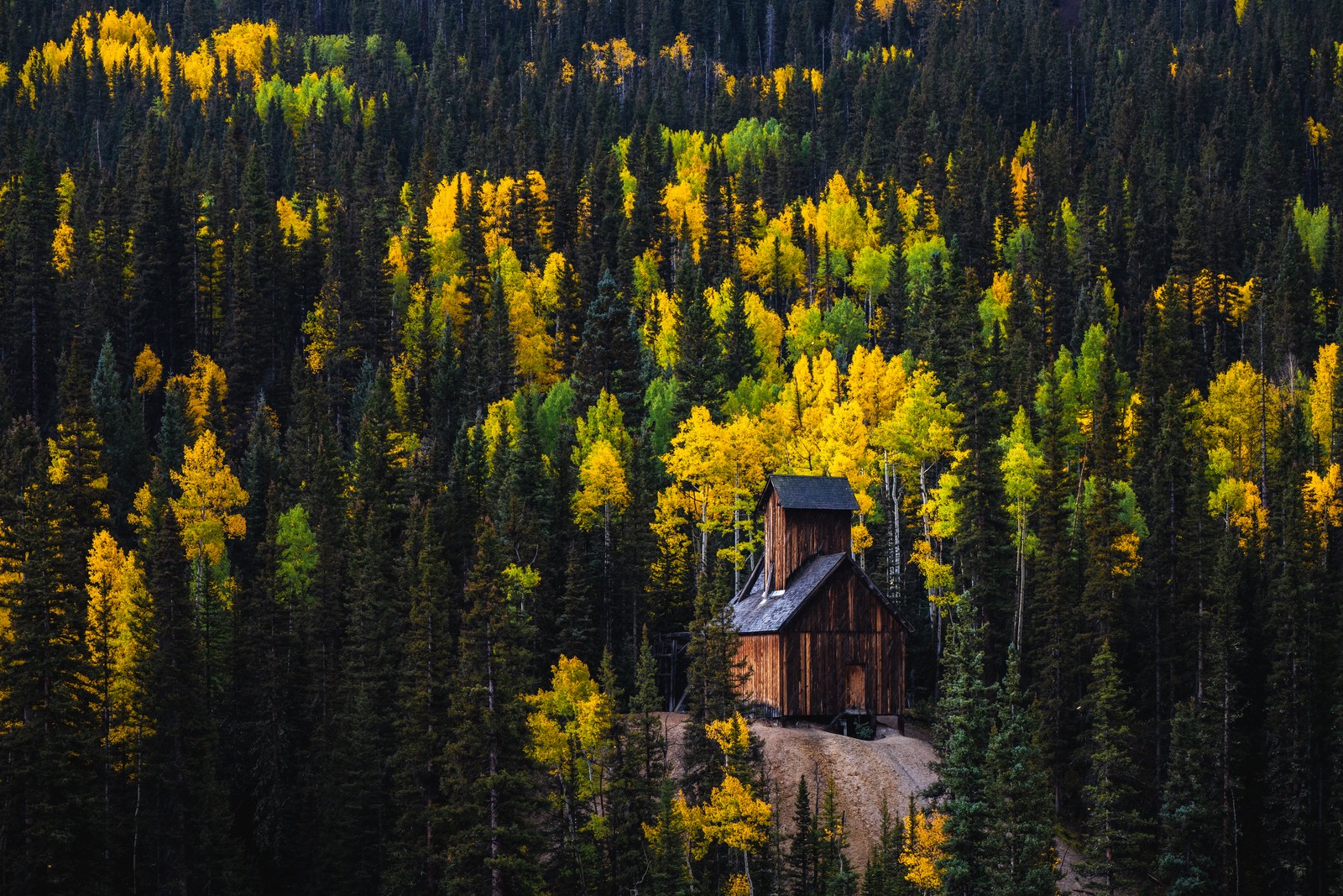 Una pequeña cabaña en medio de un bosque con árboles amarillos (colorado boy mine, wooden cabin, paso de la montaña roja, 5k, otoño)