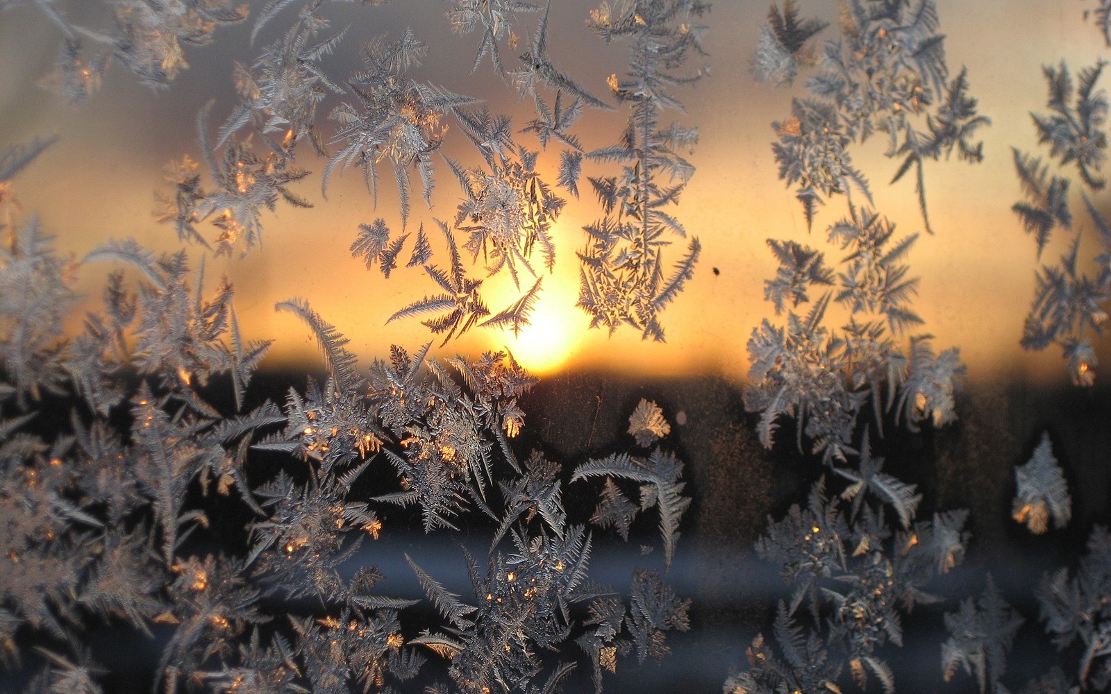 A close up of a frost covered window with the sun setting in the background (winter, snow, frost, sunlight, morning)