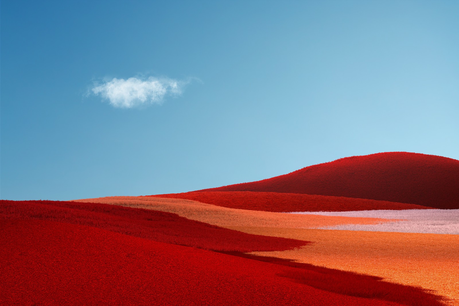 Un nuage solitaire au-dessus d'une colline rouge au loin (red grass, paysage, champ dherbe, ciel dégagé, ciel bleu)