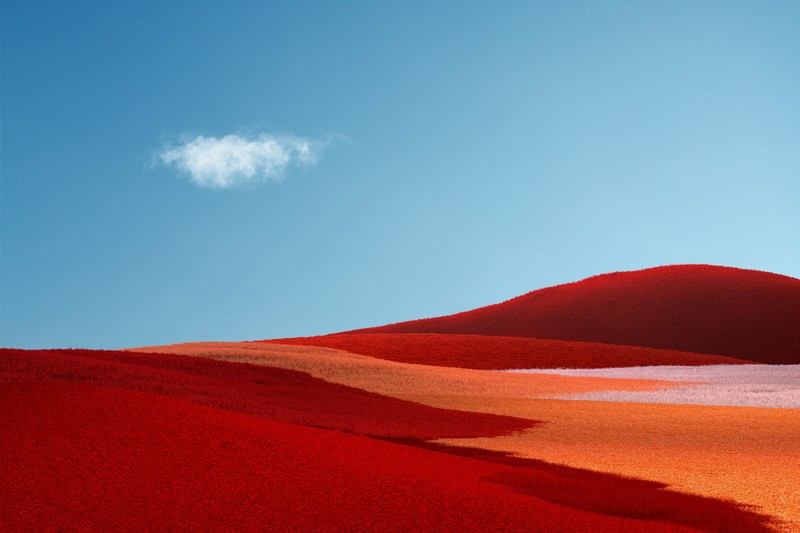 Одинокое облако над красным холмом вдали (red grass, пейзаж, травяное поле, ясное небо, синее небо)