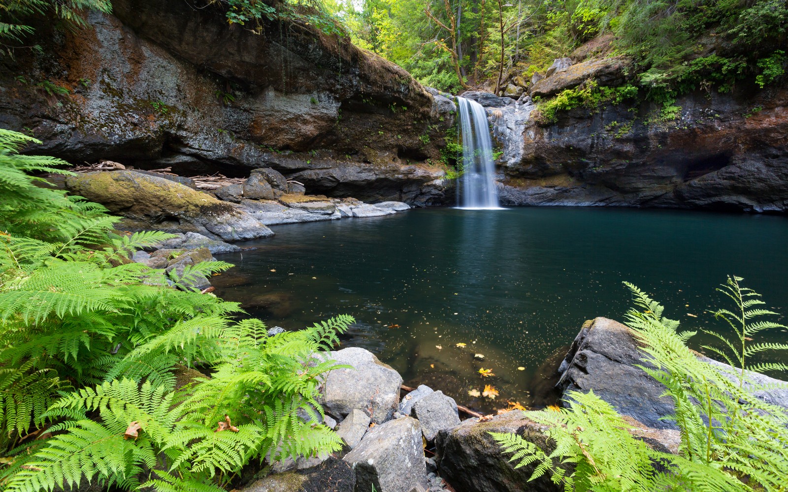 A waterfall in the middle of a lush green forest next to a river (coquille river falls, oregon, waterfalls, forest, landscape)