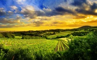 kahlenberg hills, vienna, austria, landscape, greenery wallpaper