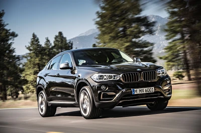 BMW X6: O epítome do luxo pessoal e desempenho