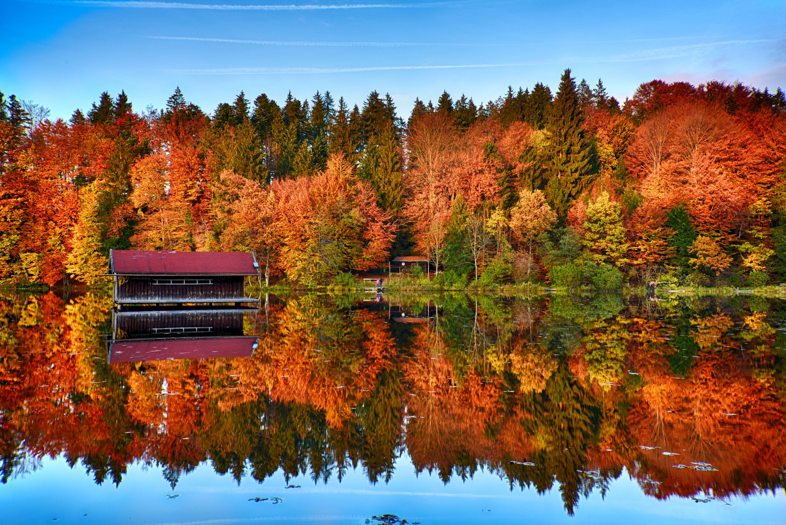 Uma vista de um lago com uma casa de barco no meio (árvores de outono, lago espelho, floresta, reflexo, casa de madeira)