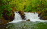 Ruhiger Wasserfall, der durch üppige grüne Vegetation in einem ruhigen Naturschutzgebiet fließt