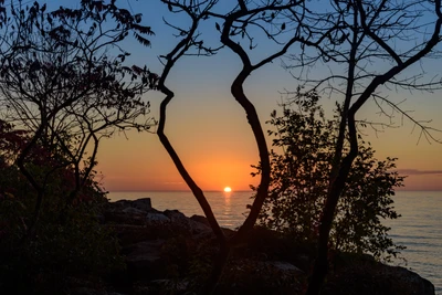 Silhouette von Bäumen gegen einen lebhaften Sonnenuntergang über dem Meer