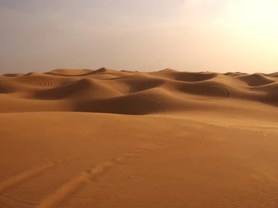 Weite Dünenlandschaft der Sahara