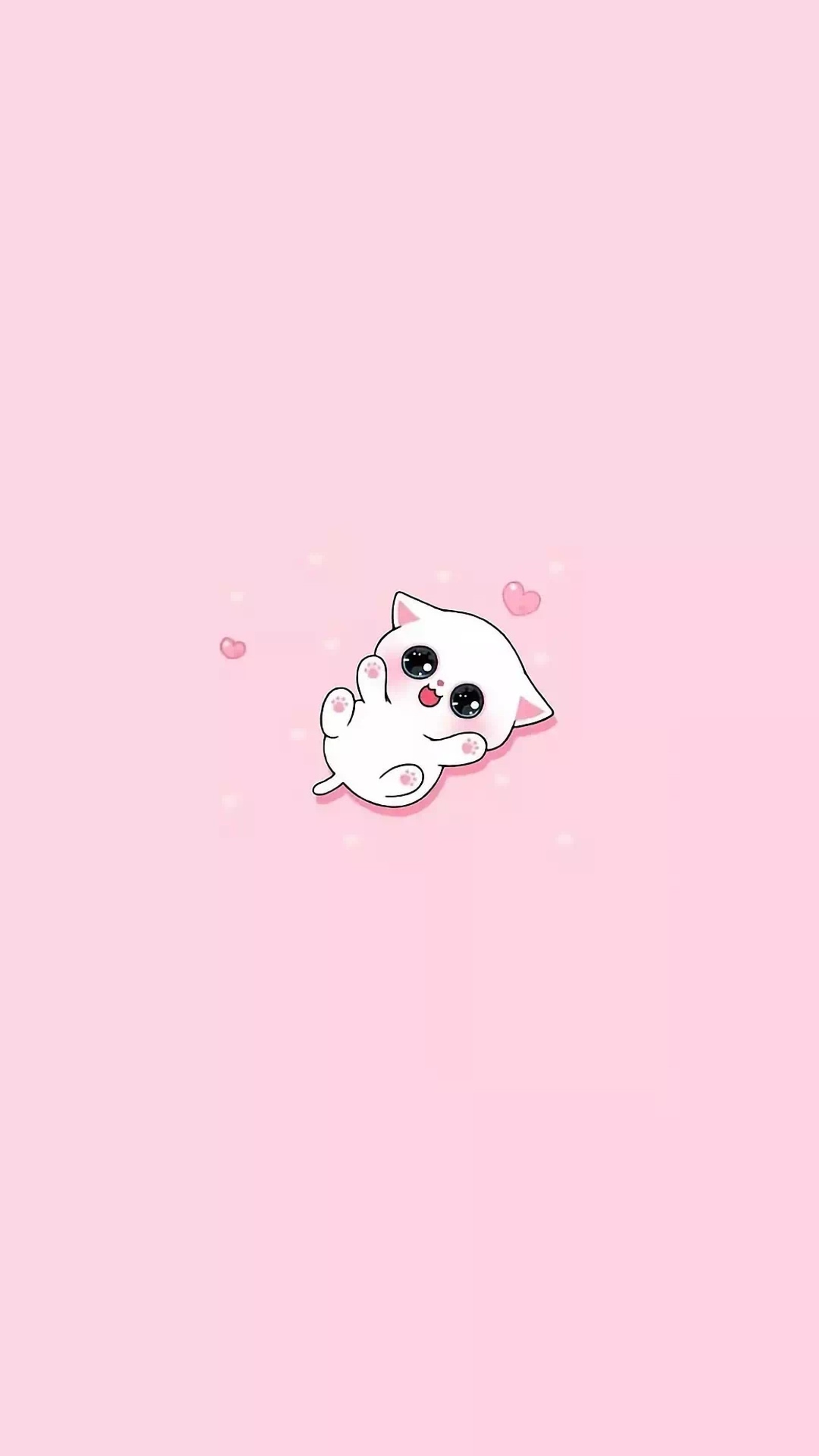 A white cat with black eyes and a pink background (cat, cute, pink)