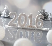 Festive Celebration of a Happy 2016